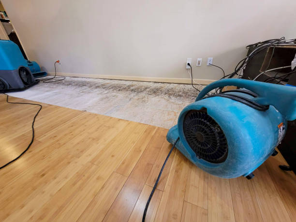 Professional Flood Damage Cleanup technician working in Peak, SC